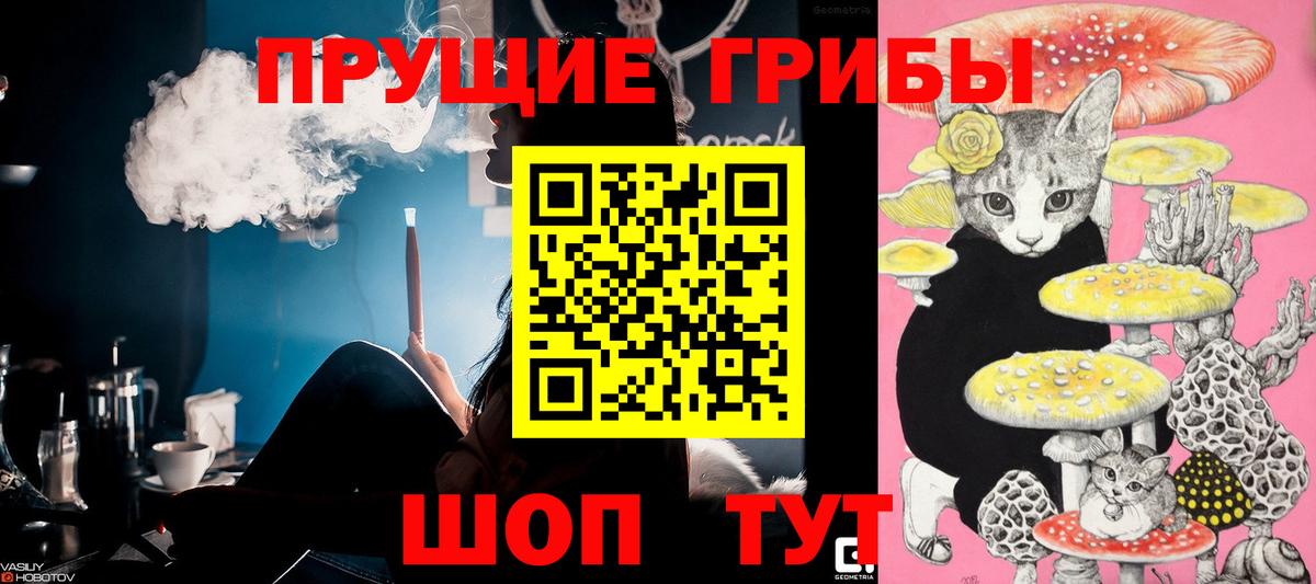 Псилоцибиновые грибы GOLDEN TEACHER Саяногорск