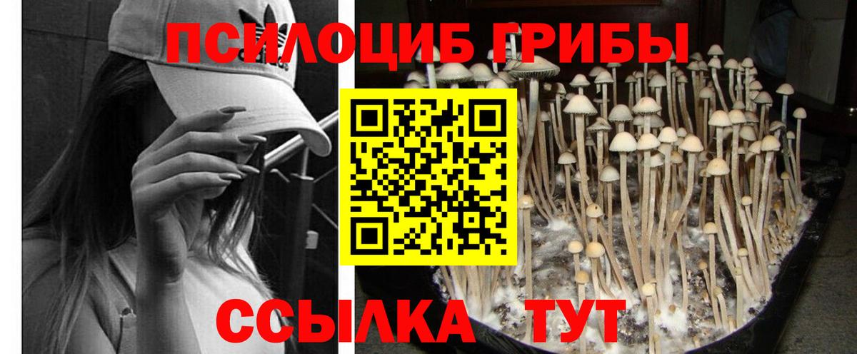 Псилоцибиновые грибы Magic Shrooms  магазин продажи наркотиков  Саяногорск  Вход с VPN 
